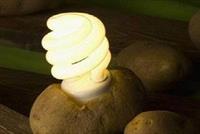 بالفيديو: بطاطا واحدة كفيلة بإضاءة غرفتك لـ40 يوما!