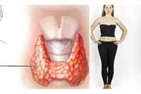  المشروب المعجزة.. 3 أكواب يومياً كفيلة بفقدان 2 كيلو في اليوم