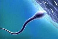 حقنٌ للرجال... لمنع الحمل!