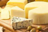 تناول الجبنة يطيل عمر الإنسان