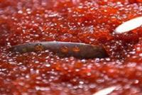 سرقة بالملايين والأسلوب غريب جدّاً