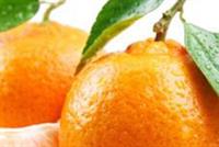  ما هي فوائد تناول الأفندي في فصل الشتاء؟