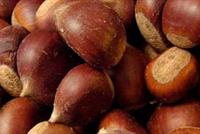 الكستناء.. 4 حبّات في اليوم تصنع العجائب