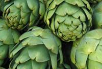 الأرضي شوكي والبصل والكرفس ثلاثي مكافحة الأرق والقلق والخوف