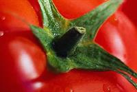 إياك ورمي قشرة البندورة.. فإنها تحميك من الأمراض!