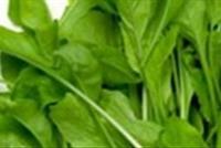  فوائد مذهلة لأوراق الجرجير... تعرفوا إليها!