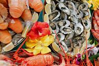 ثمار البحر تقي من الإصابة بشيخوخة الدماغ