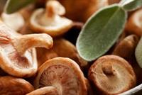  ما هي فوائد الفطر الصحية؟