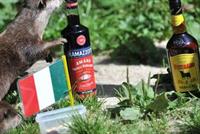 هل يمكن أن تصبح الحيوانات مدمنة على الكحول ؟