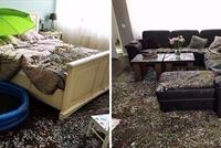 هل هذه أسوأ هدية زواج على الإطلاق؟