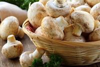 ما لا تعرفه عن الفطر.. يحرق الدهون ويعالج عسر الهضم!