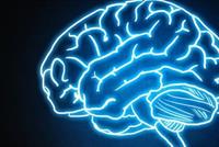 هذه الحمية الأفضل للحفاظ على صحّة الدّماغ