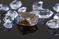 ابتلع مجوهرات بملايين الدولارات ليسرقها!