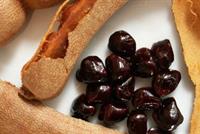  فوائد صحية مذهلة للتمر الهندي... منافع على الجسم بأكمله!