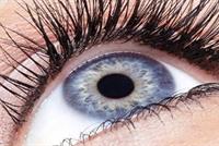 لمَ لا تنمو الرموش والحواجب مثل شعر الرأس؟