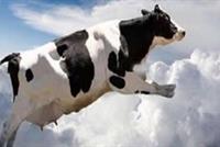 أغرب 6 أشياء رآها البشر تسقط من السماء