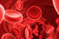  لزيادة عدد كريات الدم الحمراء... تناولوا هذه الأطعمة