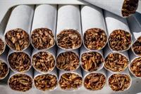 خفض النيكوتين في السجائر ينقذ حياة 8 ملايين شخص