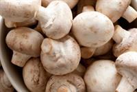 أفضل المصادر الغذائية الغنية بفيتامين د