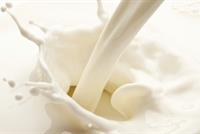 الحليب لفقدان الوزن وارتفاع ضغط الدم