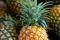 الأناناس لحل مشكلة الشخير