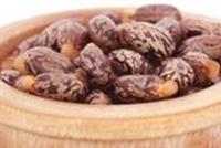 5 فوائد مذهلة لبذور الخروع لم تعرفوها من قبل!