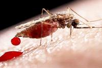 اكتشاف طريقة لمنع لدغات البعوض