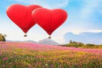 احذروا الزواج يوم عيد الحب