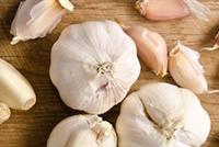 فوائد الثوم على صحة الجسم والبشرة والشعر