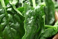 السبانخ أقوى مما تعتقدون.. تناولوه يومياً ولاحظوا الفرق! 