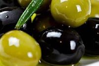 فوائد صحية مذهلة للزيتون.. وما الفرق بين الأسود والأخضر؟