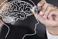 الدماغ البشري يصاب بالشيخوخة بعد سن الـ25