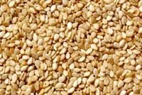 ستتناول السمسم يومياً بعد قراءة هذا الخبر! 