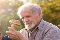 لماذا يتسبّب الفطر بالهلوسة؟ 