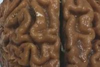 نسخة من ذكرياتك بـ 10 آلاف دولار!