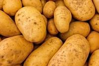 ستأكلون البطاطا يومياً بعد قراءة هذا الخبر! 