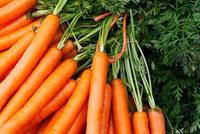 الجزر مضاد للشيخوخة 