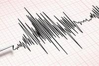 حيوانات تستشعر الزلازل قبل وقوعها