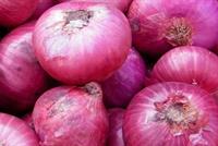 حقائق مثيرة عن البصل.. بينها أنّها دموعه مضرة بالبصر! 