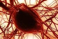 عادات تسبب بقتل خلايا المخ