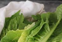 الخس لعلاج الأرق و الوقاية من أمراض القلب