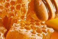 العسل يساعد في علاج الجروح