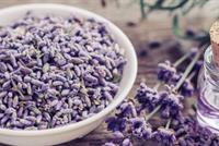 علاج المشاكل الصحية بزيوت النباتات