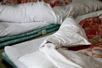 يعيش في منزلها من دون أن تلاحظ وجوده !