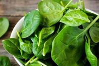 تناول السبانخ يؤثر على التفكير والذاكرة!