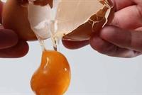  تناول بيضة واحدة يوميًا يحميك من أمراض خطيرة 