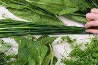  أكثر الأعشاب فائدة لجسم الإنسان!