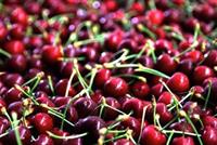 الكرز لعلاج الأرق وارتفاع ضغط الدم