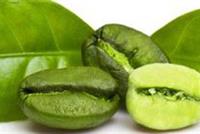  دراسة تشير إلى فوائد القهوة الخضراء