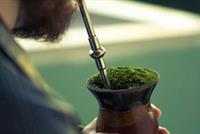  الـمتّة.. مشروب الطاقة الطبيعي للاعبي مونديال روسيا 